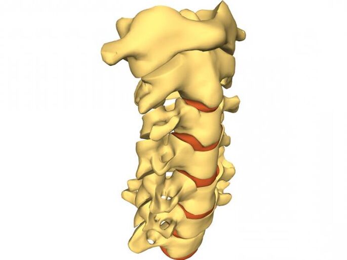 la colonne vertébrale est sujette à l'ostéochondrose